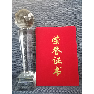 南通管家婆软件有限公司荣获最快成长奖