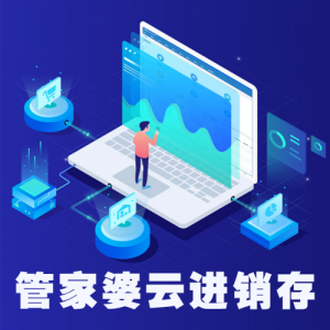 网上管家婆云进销存——中小企业在线进销存软件（实体）