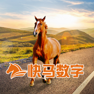 快马批发——一体化全渠道销售和管理级新批发系统